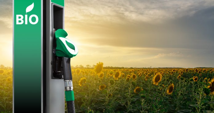 il futuro del biodiesel